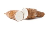 Yucca 245X147