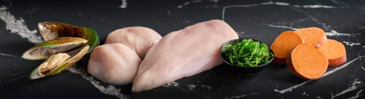 Air Dried Dog Food - Chicken hero image