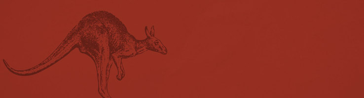 Freeze Dried Dog Treats - Kangaroo hero image